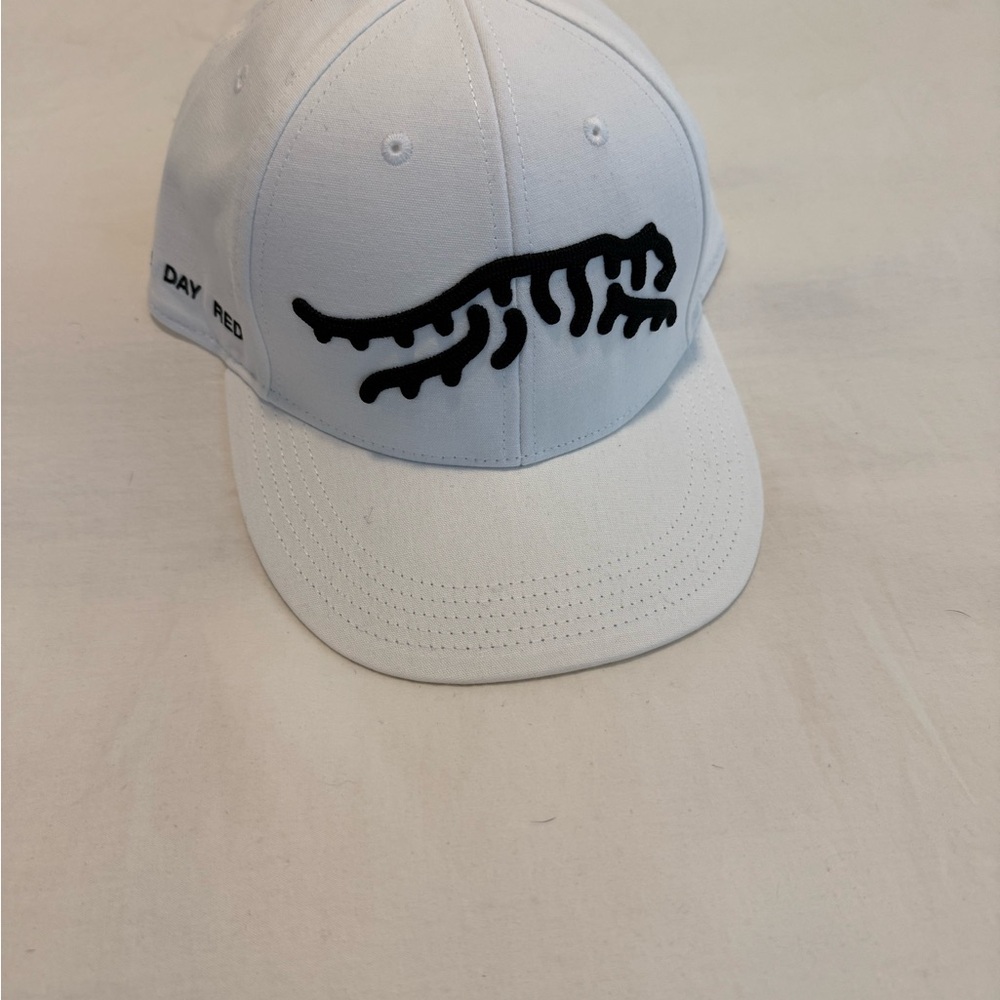 Sun Day Red Jupiter Hat
